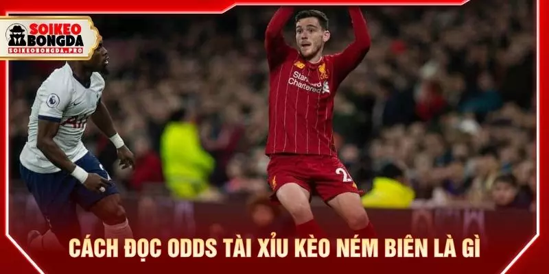 Cách đọc odds tài xỉu kèo ném biên là gì