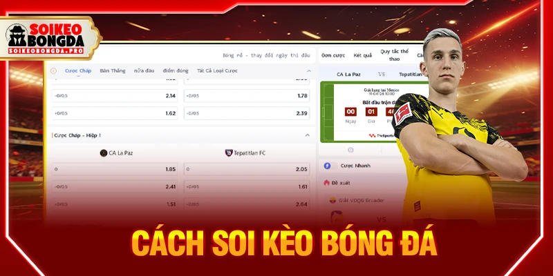 Cách soi kèo bóng đá