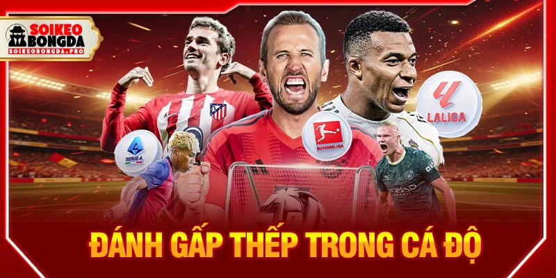 đánh gấp thếp trong cá độ