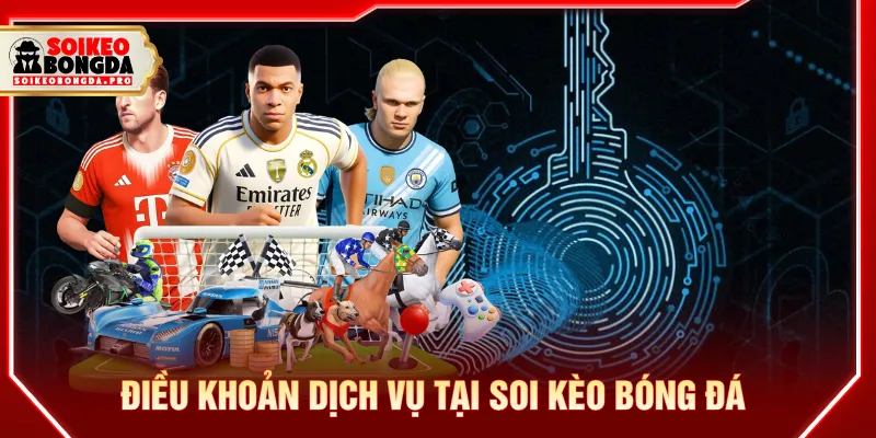 Điều khoản dịch vụ đảm bảo hoạt động luôn minh bạch