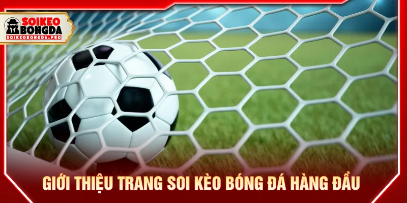 Giới thiệu giai đoạn phát triển trang web xem bóng đá