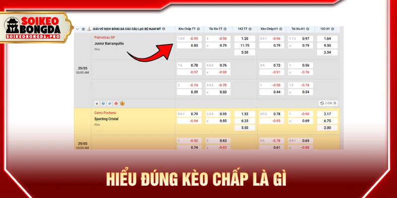 Hiểu đúng kèo chấp là gì và khái niệm cửa trên cửa dưới