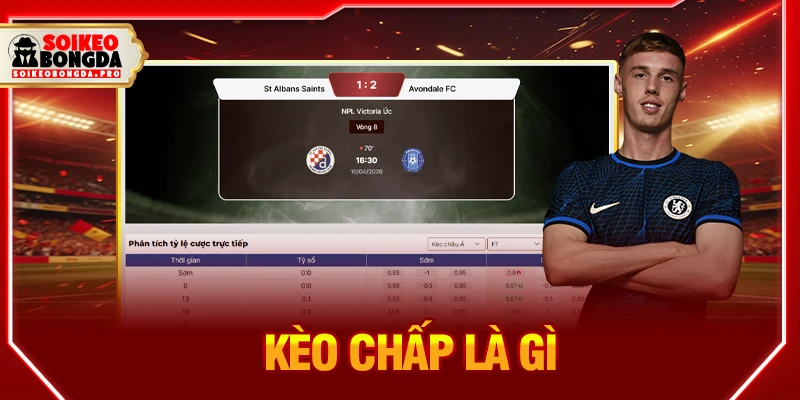 kèo chấp là gì