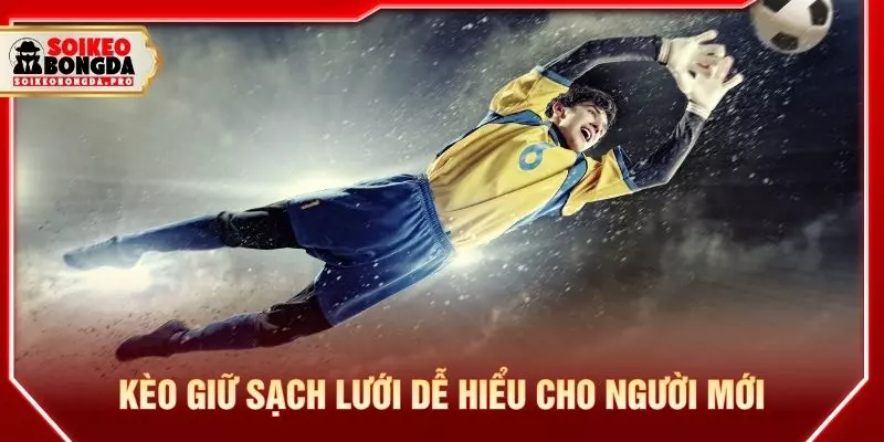 Kèo giữ sạch lưới dễ hiểu cho người mới