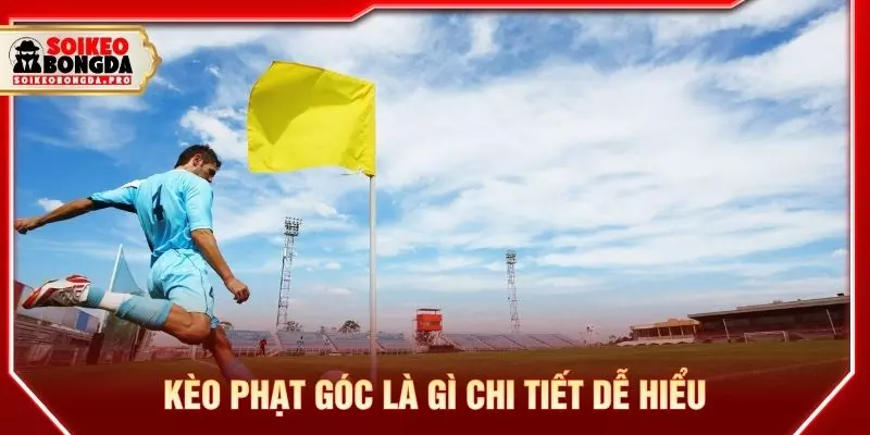 Kèo phạt góc là gì chi tiết dễ hiểu