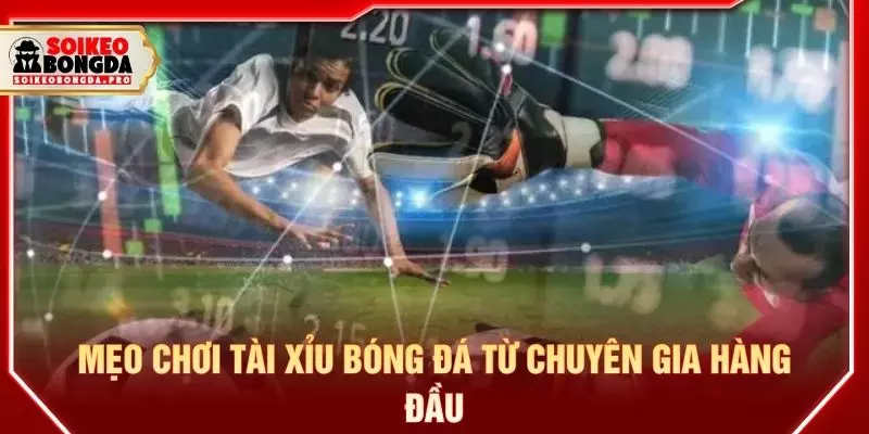 Mẹo chơi tài xỉu bóng đá từ chuyên gia hàng đầu