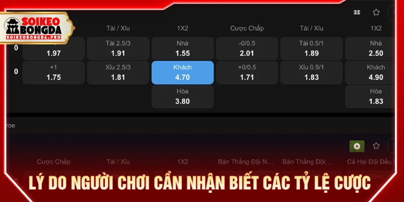 Những loại kèo nào không nên đánh cần biết