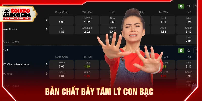 Tại sao cá độ bóng đá luôn thua do bản chất của người chơi