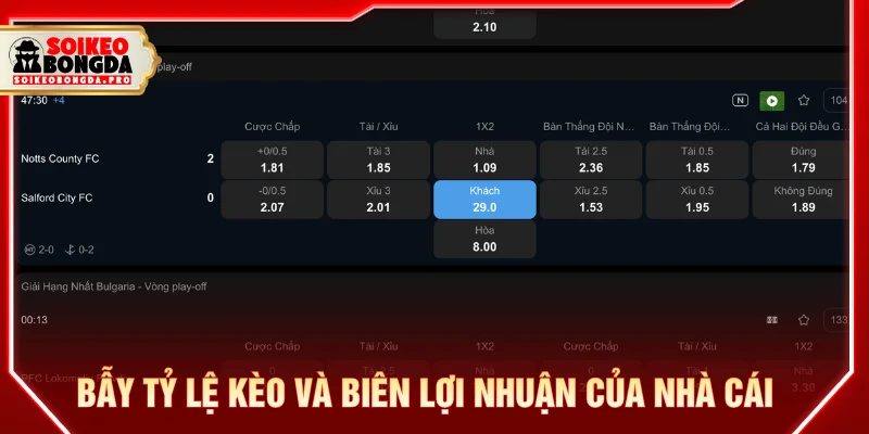 Tại sao cá độ bóng đá luôn thua do bẫy nhà cái