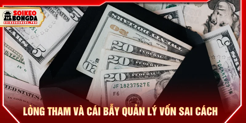 Tại sao cá độ bóng đá luôn thua do lòng tham