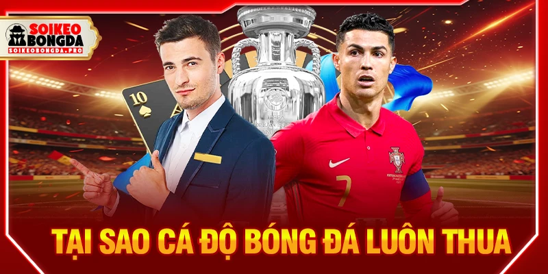 Tại sao cá độ bóng đá luôn thua