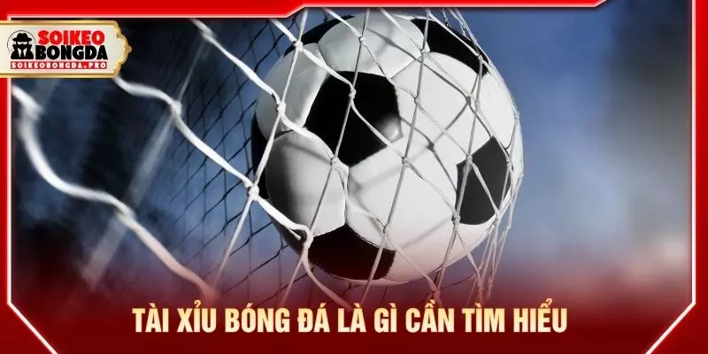 Tài xỉu bóng đá là gì cần tìm hiểu