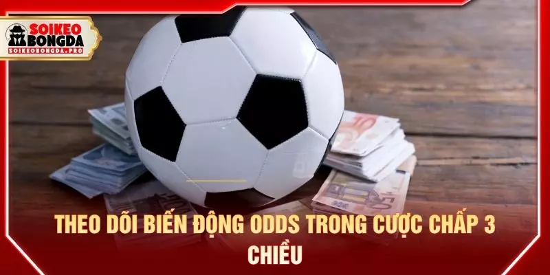 Theo dõi biến động odds trong cược chấp 3 chiều