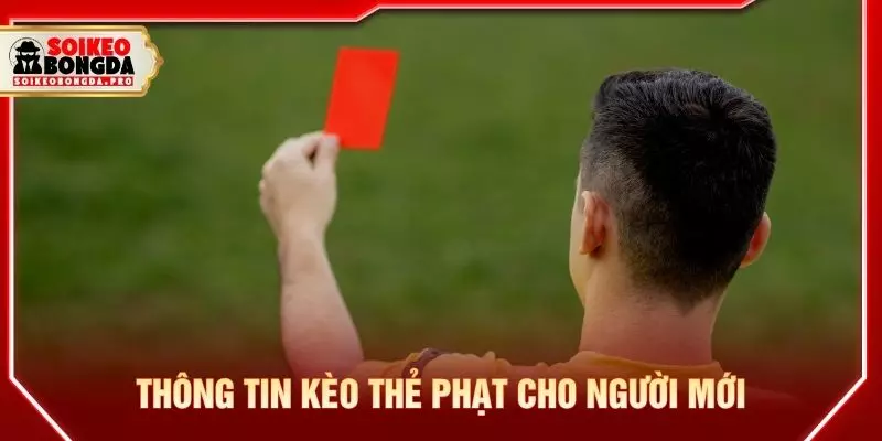 Thông tin kèo thẻ phạt cho người mới