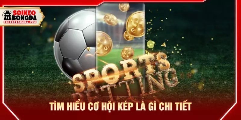 Tìm hiểu cơ hội kép là gì chi tiết