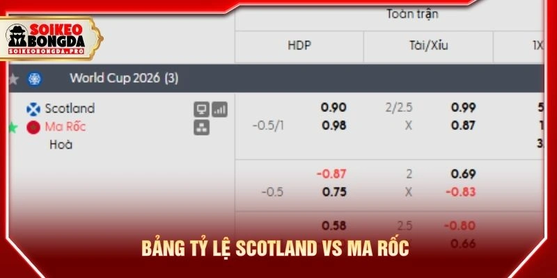 Bảng tỷ lệ Scotland vs Ma Rốc Bảng tỷ lệ Scotland vs Ma Rốc