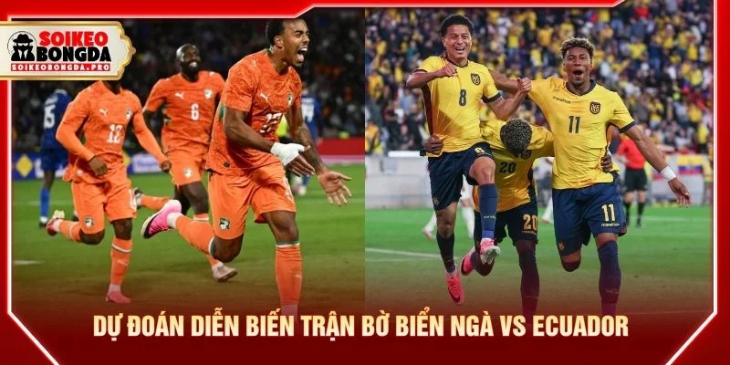 Dự đoán diễn biến trận Bờ Biển Ngà vs Ecuador Dự đoán diễn biến trận Bờ Biển Ngà vs Ecuador