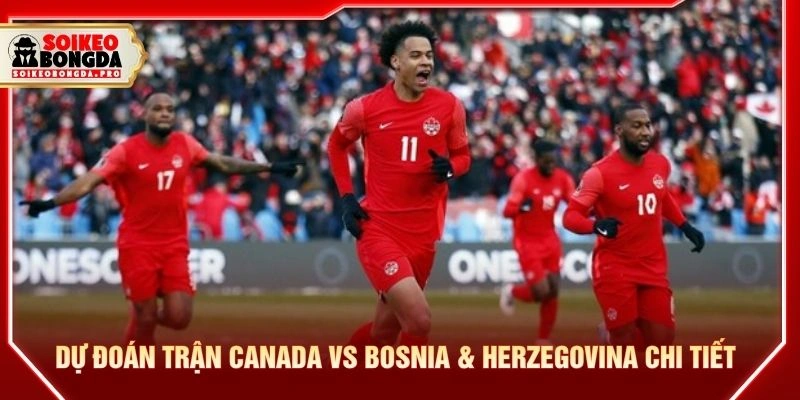 Dự đoán trận Canada vs Bosnia & Herzegovina chi tiết Dự đoán trận Canada vs Bosnia & Herzegovina chi tiết