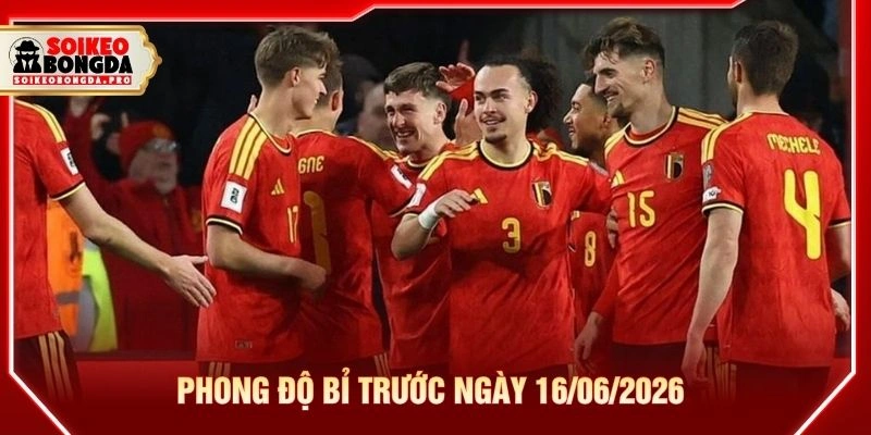 Phong độ Bỉ trước ngày 16/06/2026