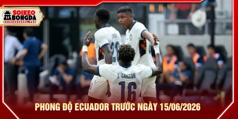 Phong độ Ecuador trước ngày 15/06/2026 Phong độ Ecuador trước ngày 15/06/2026