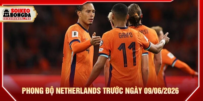 Phong độ Netherlands trước ngày 09/06/2026 Phong độ Netherlands trước ngày 09/06/2026